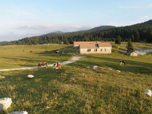 Hotel Cristallo Folgaria Exteriér fotografie